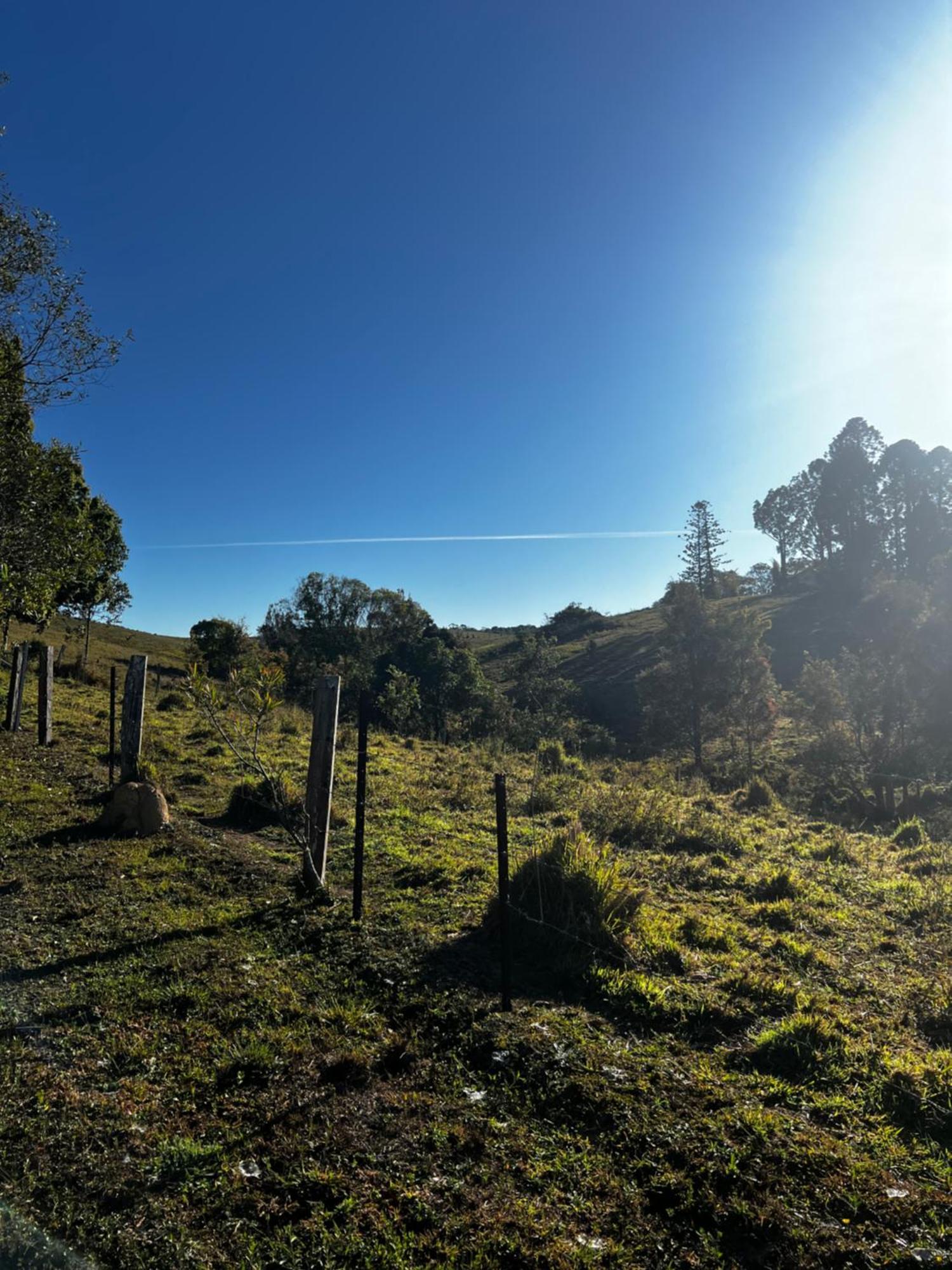 Noosa Avalon Farm Cottages Sunshine Coast Esterno foto
