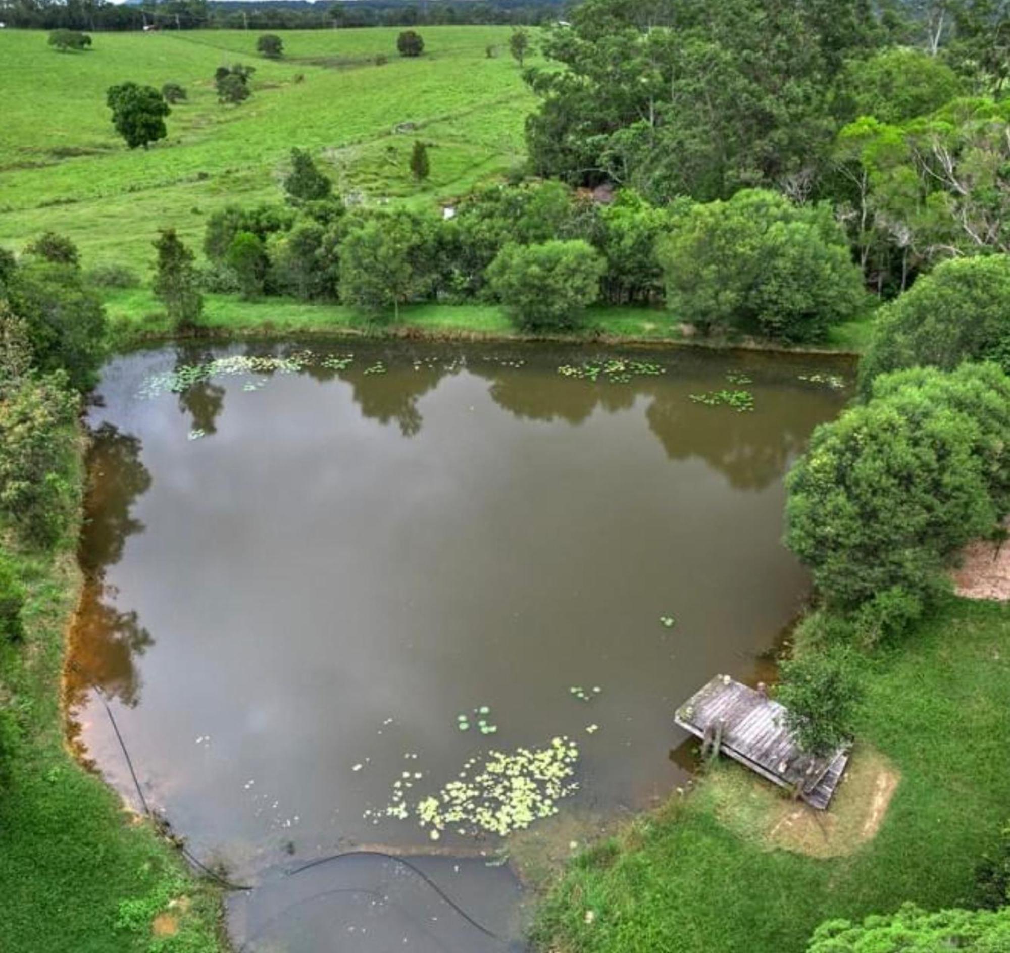 Noosa Avalon Farm Cottages Sunshine Coast Esterno foto