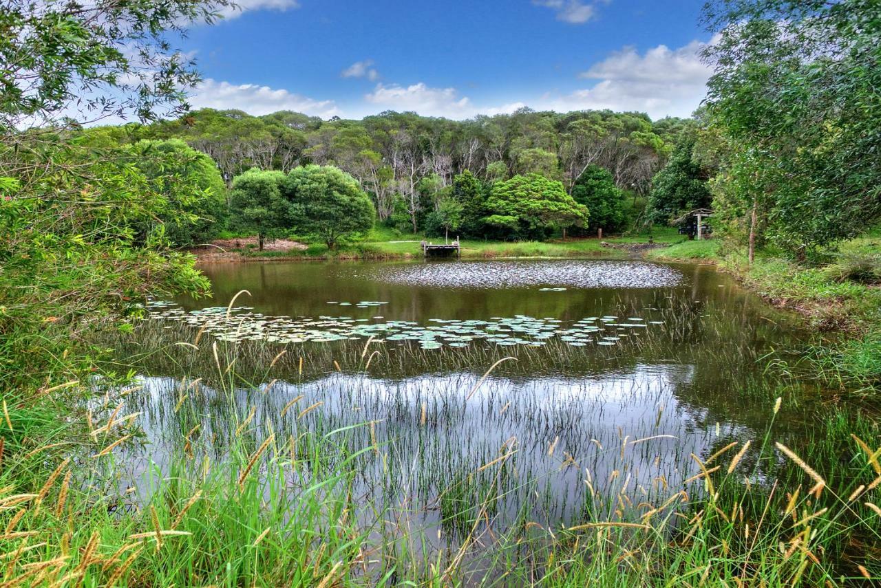 Noosa Avalon Farm Cottages Sunshine Coast Esterno foto